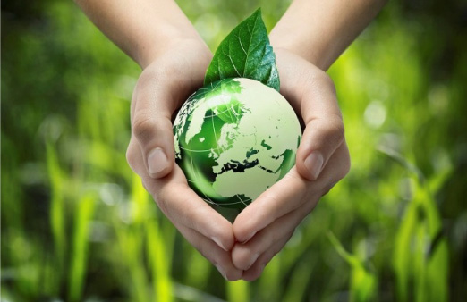 Lợi ích khi chuyển sang nước tẩy rửa thiên nhiên trong năm 2025