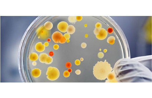 Xu hướng #6: Công nghệ vi sinh và cảm biến mùi – thế hệ tẩy rửa thông minh