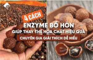 4 cách enzyme bồ hòn giúp thay thế hóa chất hiệu quả