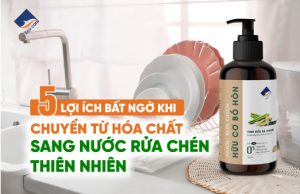 5 Lợi ích bất ngờ khi chuyển từ hóa chất sang nước rửa chén thiên nhiên