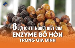 6 lợi ích ít người biết của enzyme bồ hòn trong gia đình