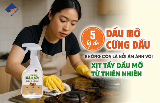 5 Lý Do Dầu Mỡ Cứng Đầu Không Còn Là Nỗi Ám Ảnh Với Xịt Tẩy Dầu Mỡ Từ Thiên Nhiên