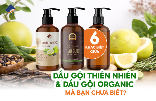 6 khác biệt giữa Dầu gội thiên nhiên và dầu gội organic mà bạn chưa biết