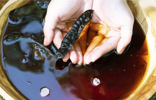 Sai lầm 5: Nhầm lẫn giữa “thiên nhiên” và “tự pha – không kiểm soát”