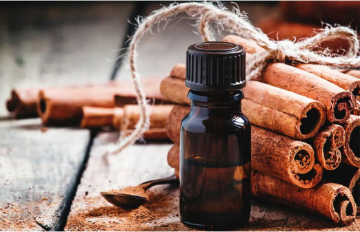 1. Tinh dầu Quế – Khử mùi mạnh, hỗ trợ tẩy dầu mỡ vượt trội