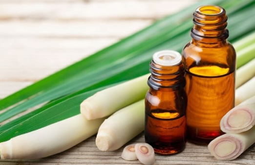 3. Tinh dầu Sả Chanh – Khử mùi mạnh, tăng hiệu quả tẩy dầu mỡ